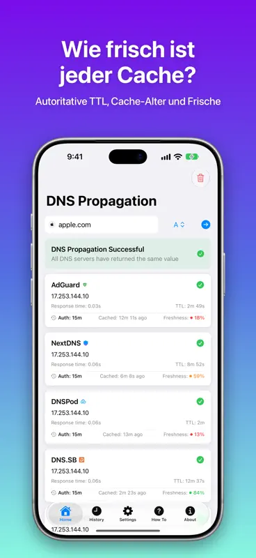 DNS Propagation: DNS-Abfrage screenshot 3 of 8