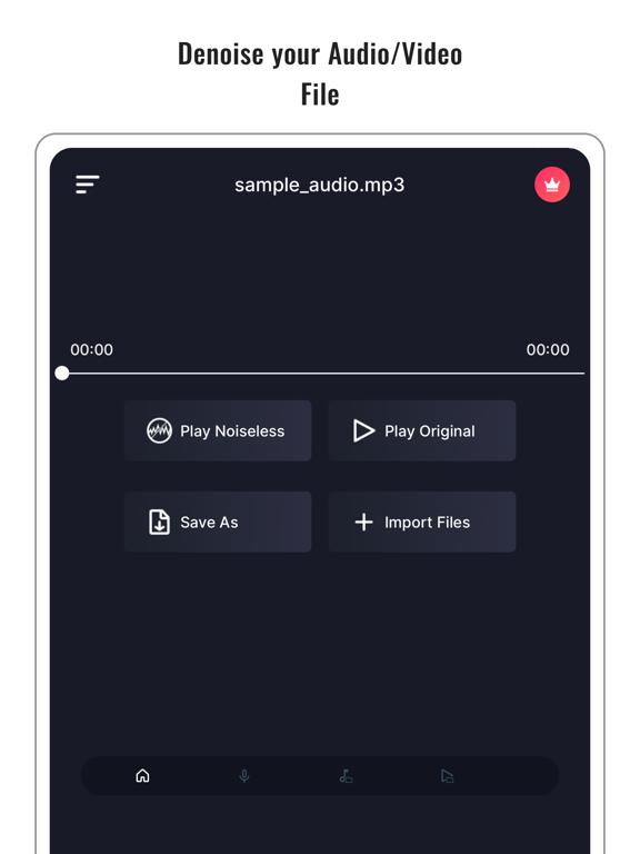 Audio Noise Reducer & Recorder iPad screenshot 1 - Music app