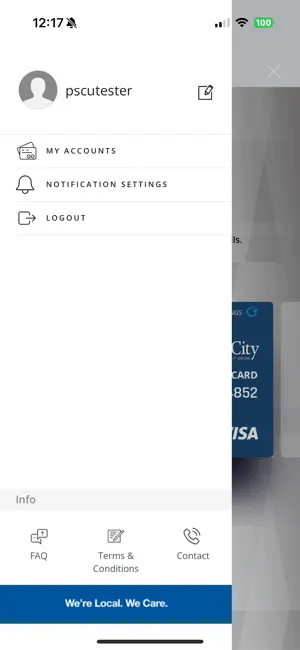 Salt City Visa screenshot 3
