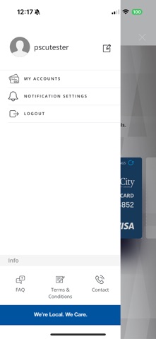 Salt City Visa Screenshot 3 of 6