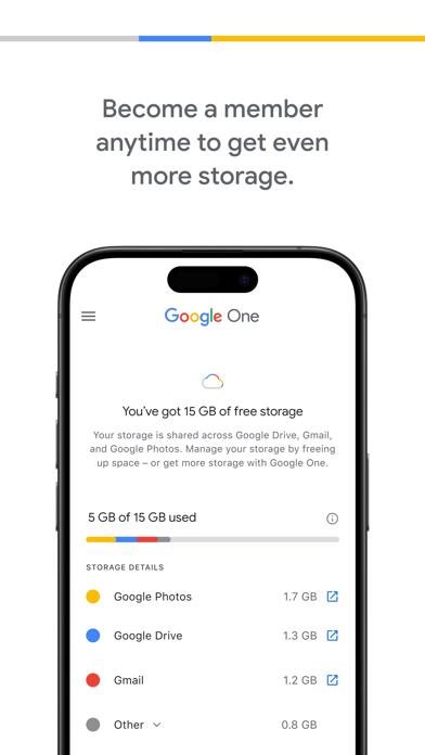 Google One Screenshot