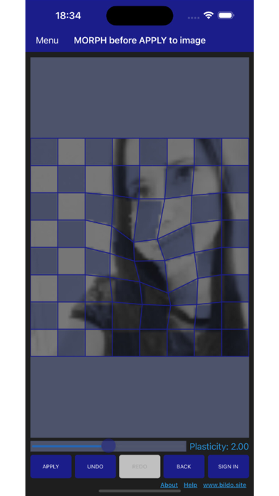 Screenshot #3 pour Bildo