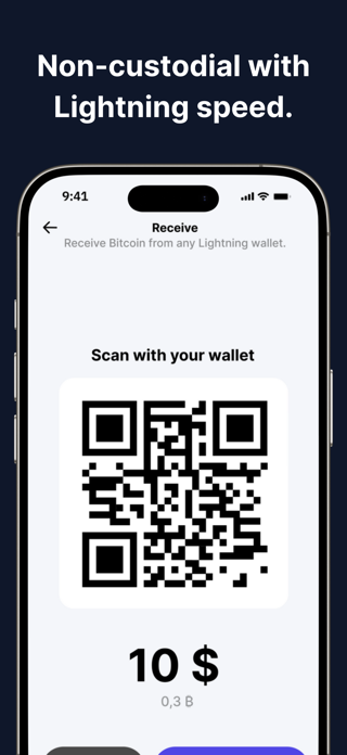 Flash: Bitcoin Wallet Screenshot 3 of 4