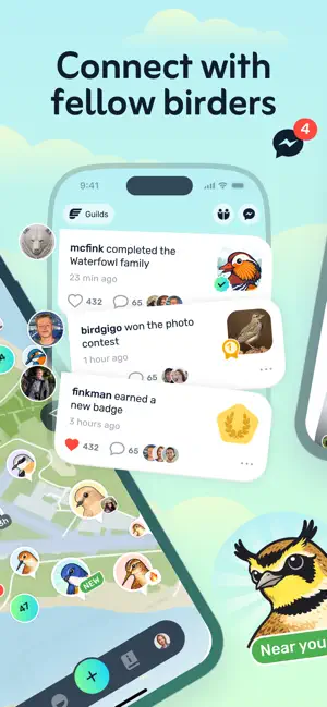fink - birdwatching community screenshot 2