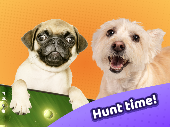 Laser Pointer － Games for Dogs