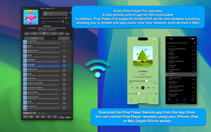 Pine Player Pro Screenshot 9 of 10