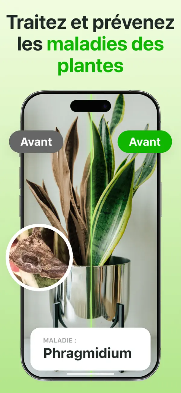 Screenshot #2 pour Plante Reconnaissance: Botan