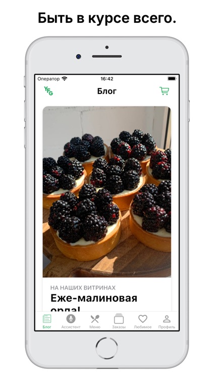 Yale Family screenshot-5