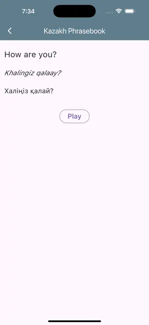 Kazakh Phrasebook screenshot 3