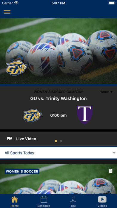 Gallaudet Bison Screenshot