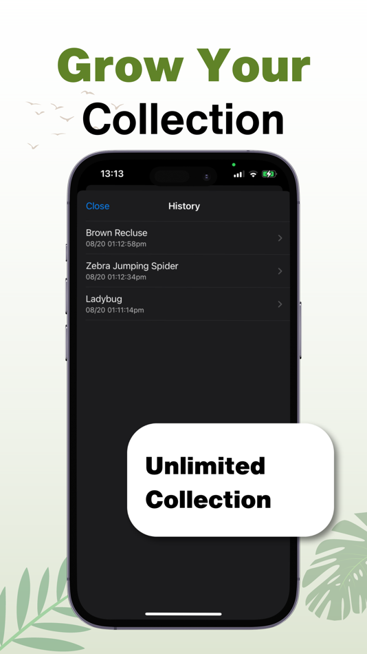 #4. Spider Identifier - AI Scanner (iOS) Ved: Chris Wakefield