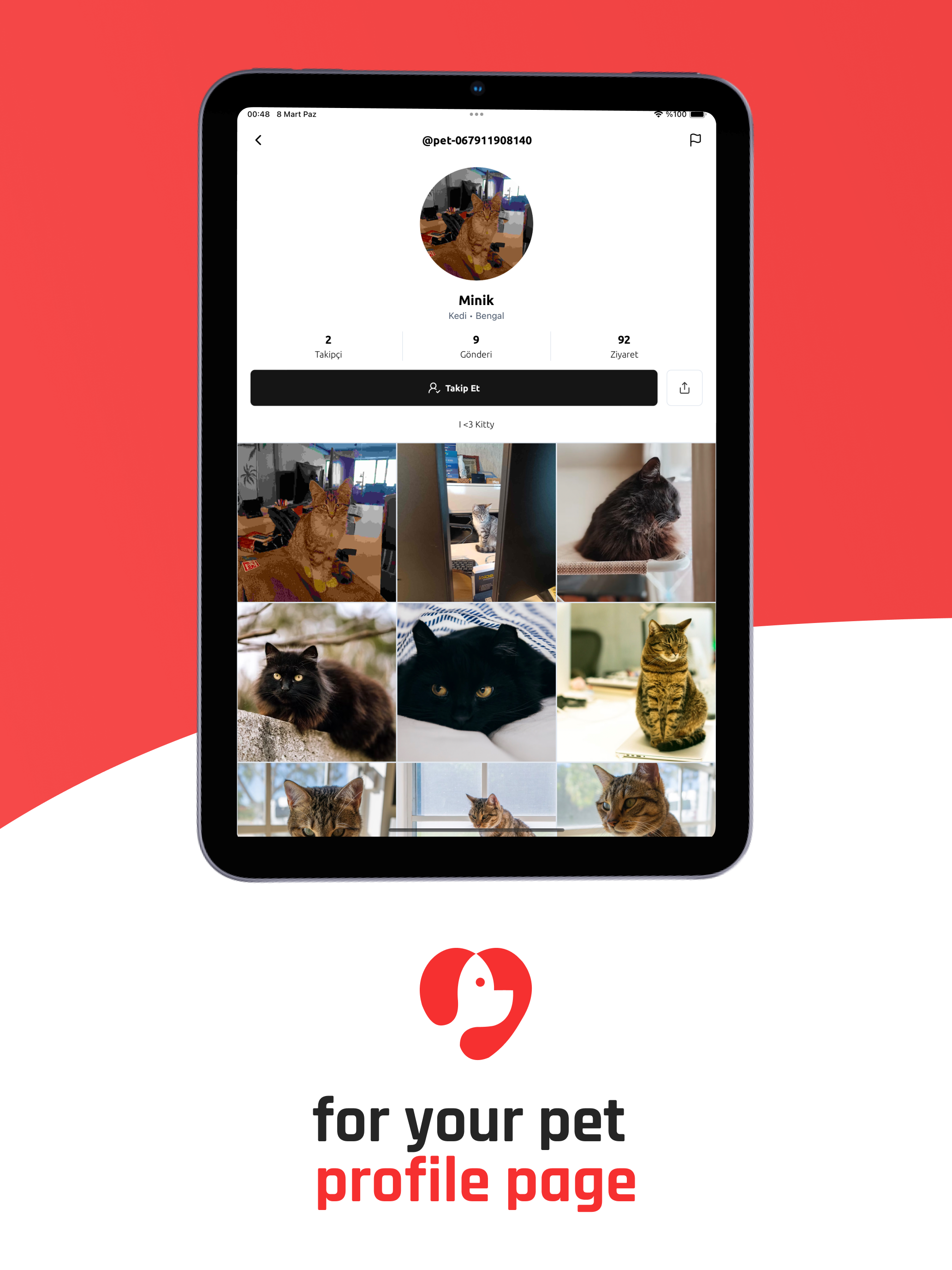 Kitty Kitty – Pet Social