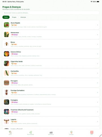 Flao iPad screenshot
