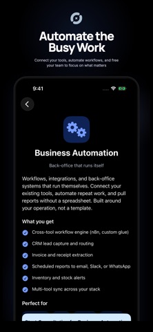 Owlake: AI Business Advisor iPhone screenshot