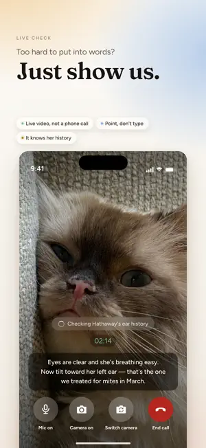 Voyage: AI Vet for Dogs & Cats screenshot 3