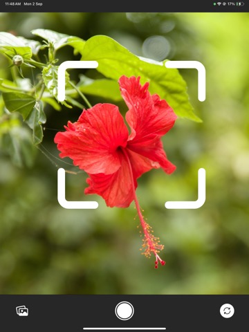 Flower Identifier - FlowerIDのおすすめ画像2