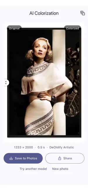 AI Colorization (Offline) screenshot 2