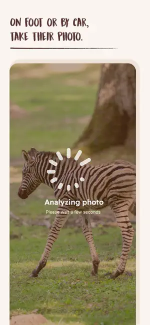 WOW Animal Explorer screenshot 3