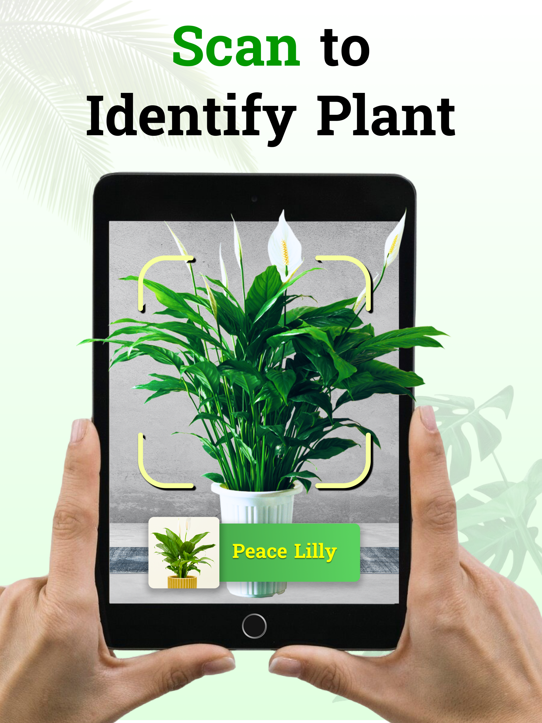 Flower identifier & plant Care screenshot 8