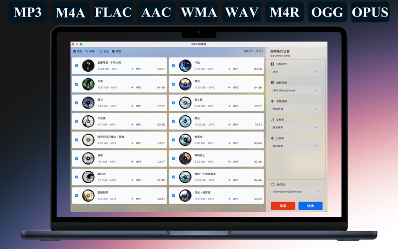MP3 转换器 - 音频格式转换专家，高效无损 screenshot