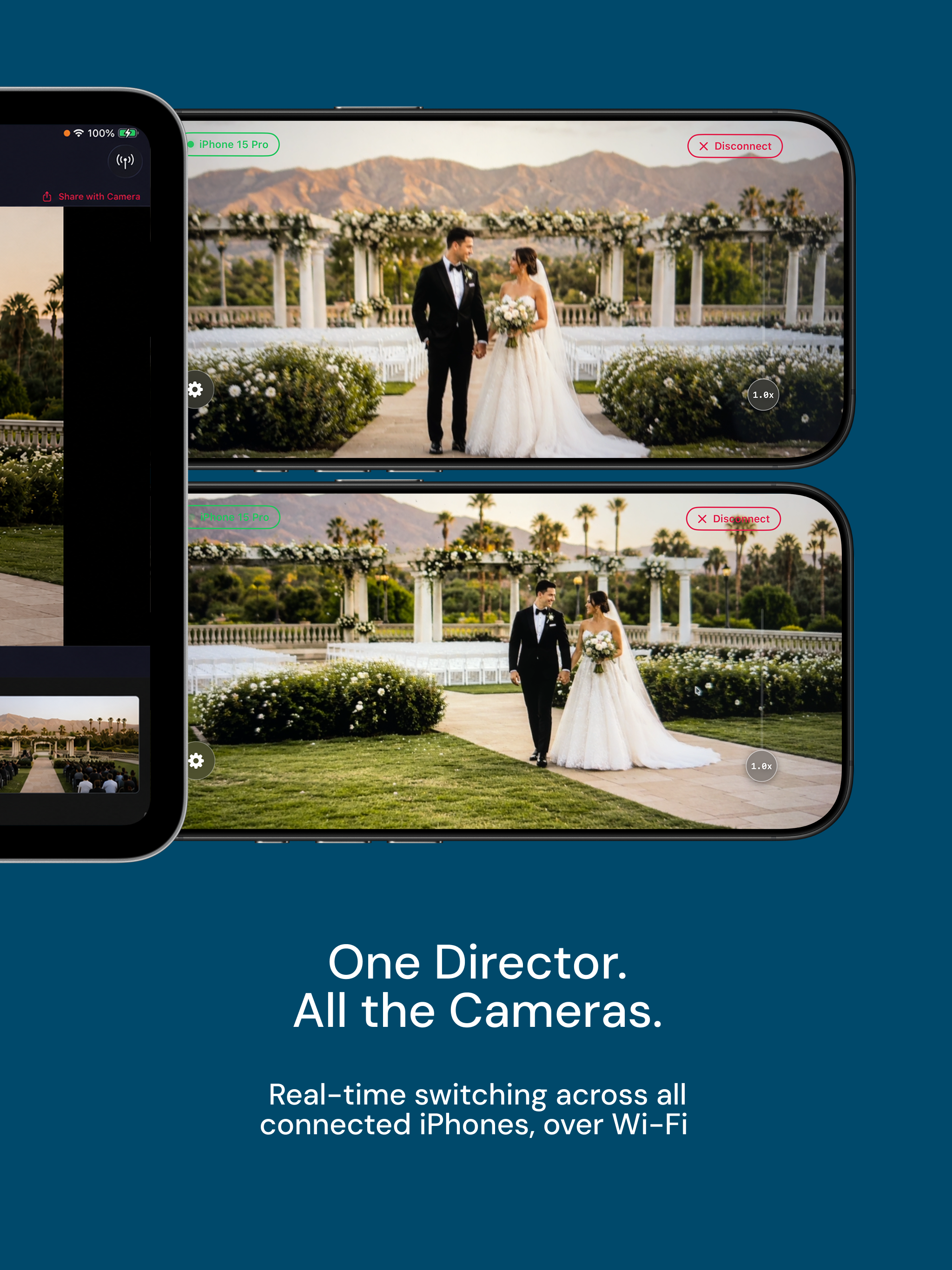 Videk Director screenshot 13