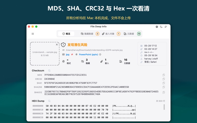 File Deep Info: 文件元数据与隐藏内容检查 screenshot