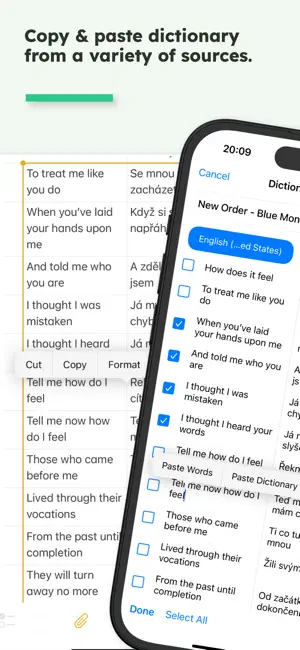 Vocabulary Player - MyPlaylist screenshot 3