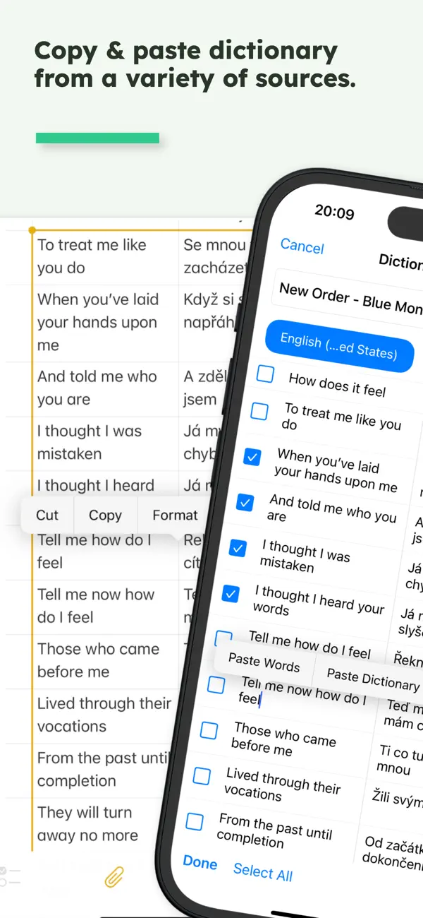 Screenshot #3 pour Vocabulary Player - MyPlaylist