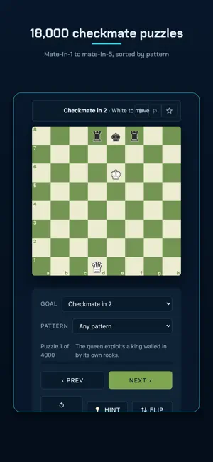 Ergo Chess: Mate & Tactics screenshot 1