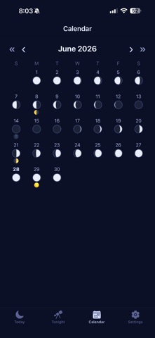 Moon Theory screenshot 3