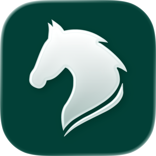 Equory: Horse Riding & Stable