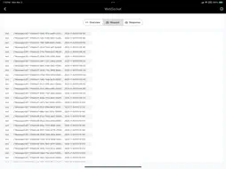 Nan - Packet Capture screenshot 16