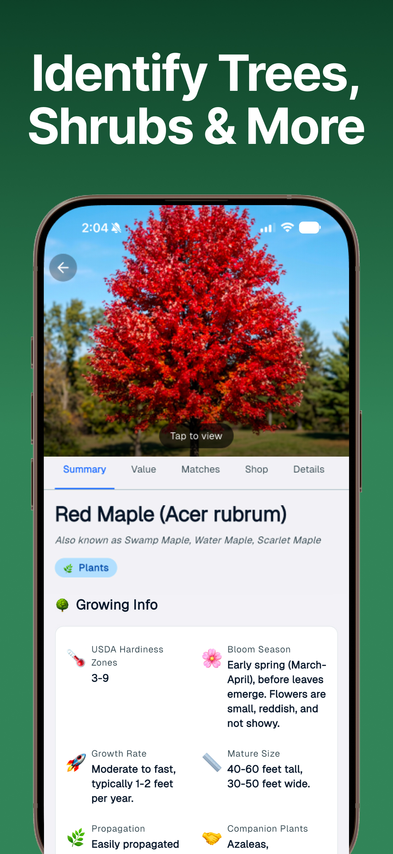 Plant Identifier Identify Leaf screenshot 6