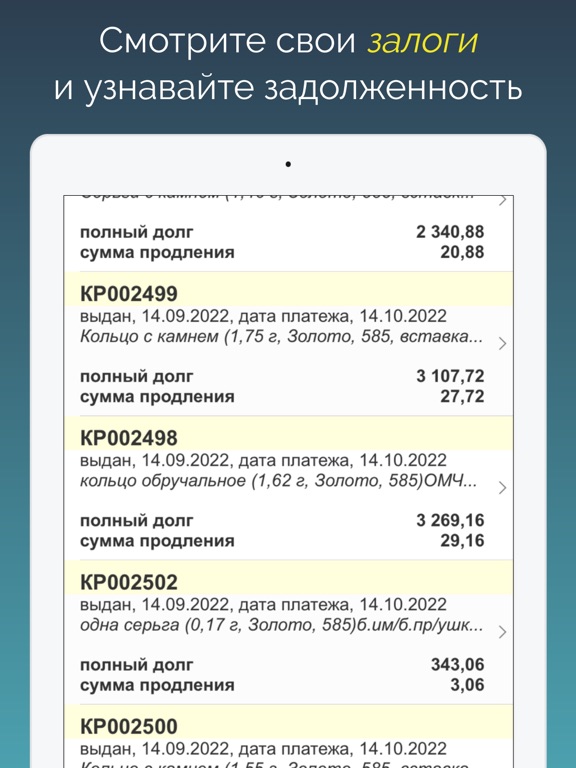App screenshot