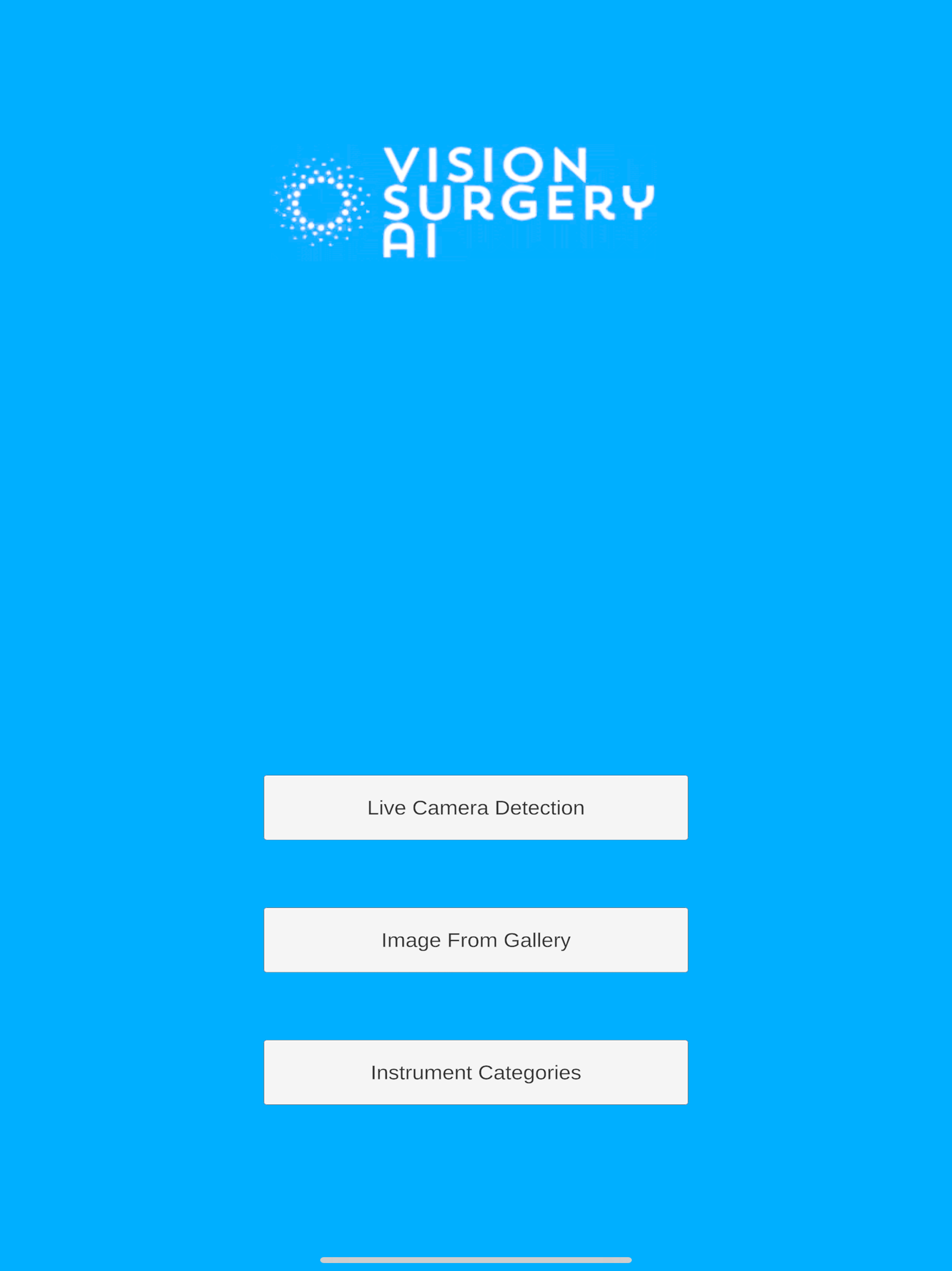 VSAI Detection screenshot 6