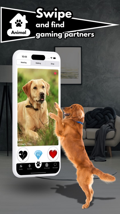 Zoove – Your pet comes first