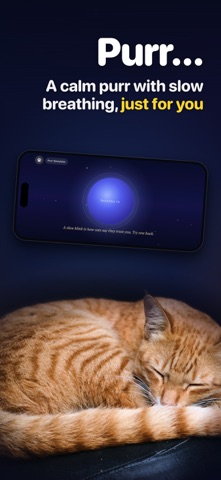 应用截图 7