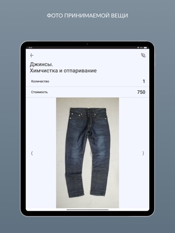 PROFCHIST - Чистота без забот iPad screenshot