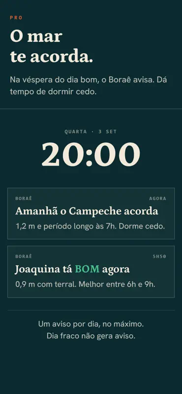 Boraê: Previsão de Surf SC screenshot 4 of 9