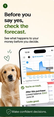 Foreseenly™ CashFlow screenshot