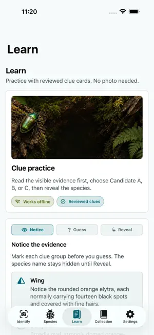 Insect Discover screenshot 4