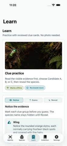 Insect Discover Screenshot 4 of 5