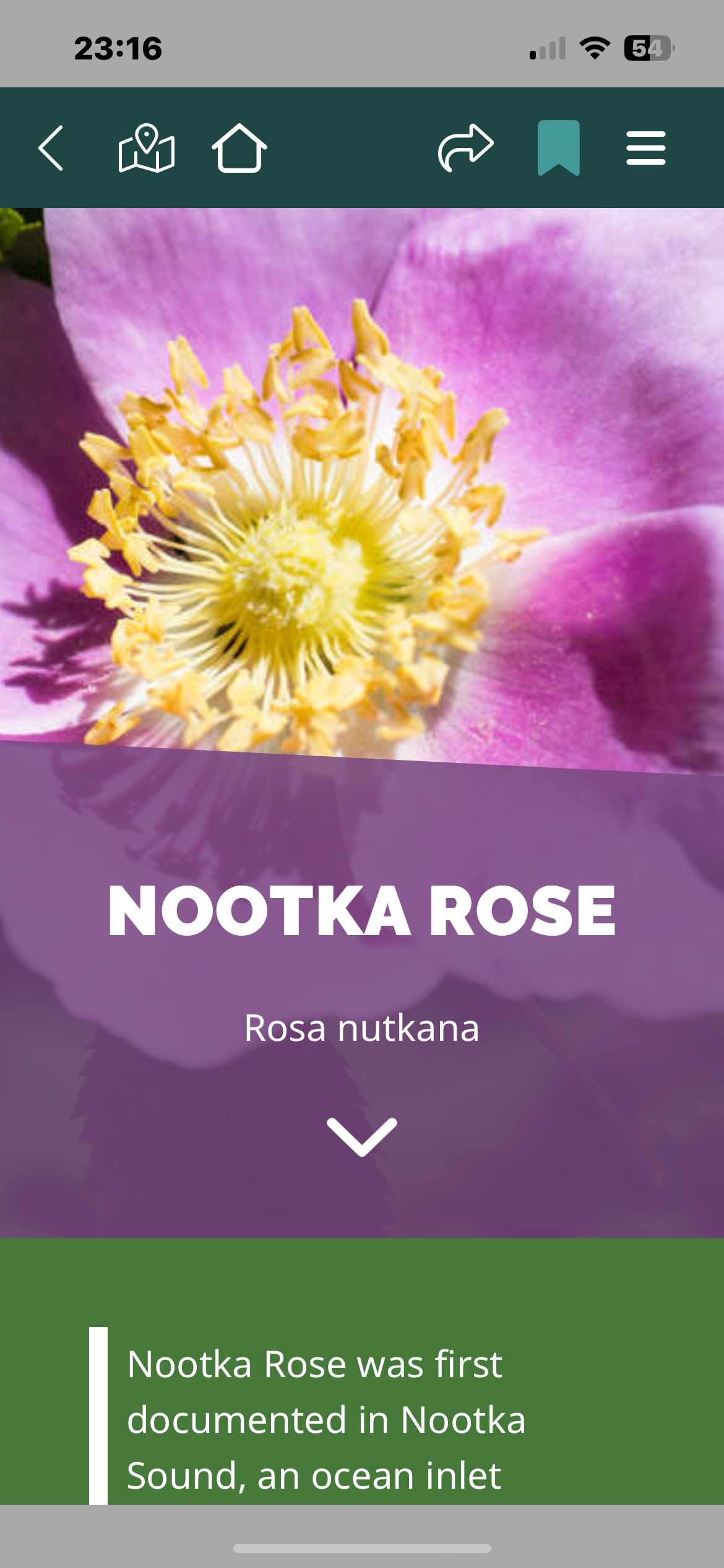naturealive