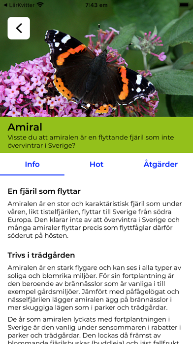 Fjärilar Screenshot