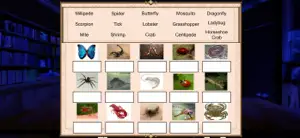 Phylum Arthropoda screenshot 2