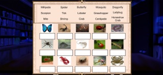 Phylum Arthropoda Screenshot 2 of 3