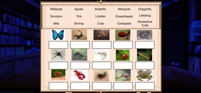 Phylum Arthropoda Screenshot 2 of 3
