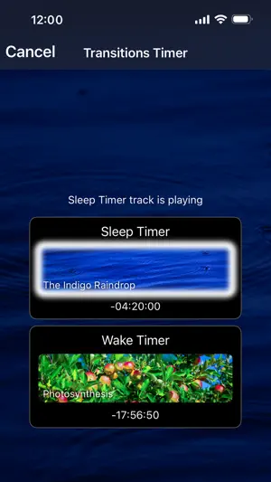 Naturespace Holographic Audio screenshot 8
