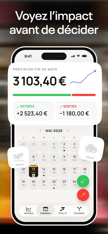 Fintur : Budget prévisionnel screenshot 4 of 9