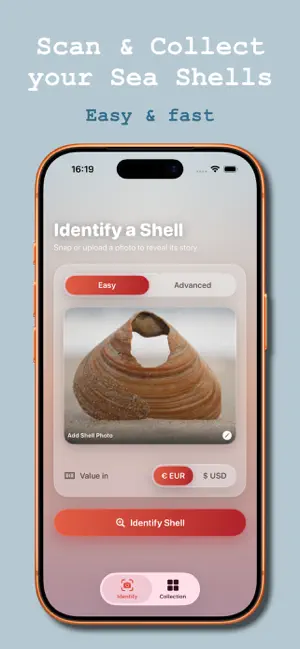 Sea Shell Identifier: Collect screenshot 2